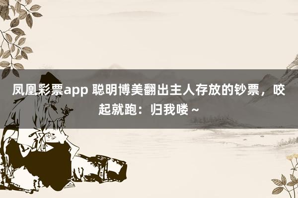 凤凰彩票app 聪明博美翻出主人存放的钞票,咬起就跑:归我喽~