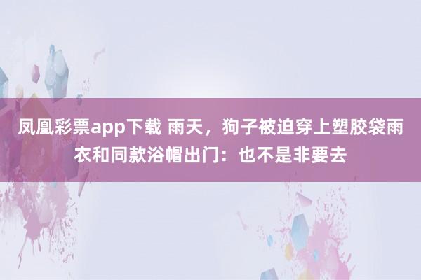 凤凰彩票app下载 雨天，狗子被迫穿上塑胶袋雨衣和同款浴帽出门：也不是非要去