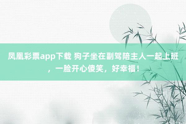 凤凰彩票app下载 狗子坐在副驾陪主人一起上班，一脸开心傻笑，好幸福！