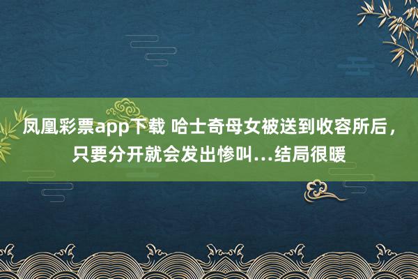 凤凰彩票app下载 哈士奇母女被送到收容所后,只要分开就会发出惨叫…结局很暖