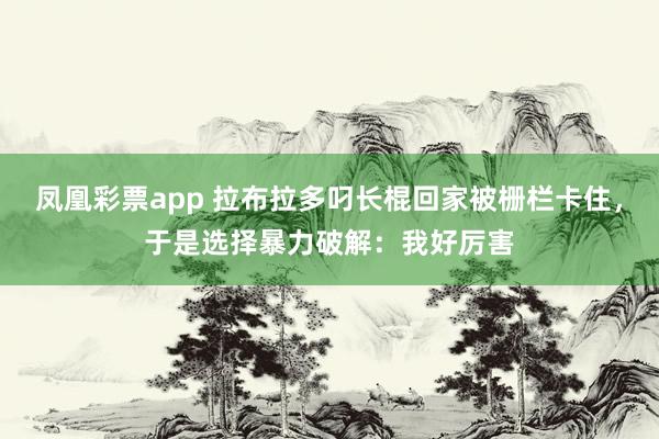 凤凰彩票app 拉布拉多叼长棍回家被栅栏卡住，于是选择暴力破解：我好厉害