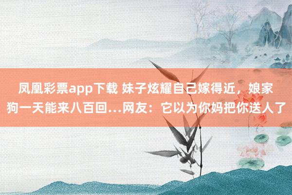凤凰彩票app下载 妹子炫耀自己嫁得近，娘家狗一天能来八百回…网友：它以为你妈把你送人了