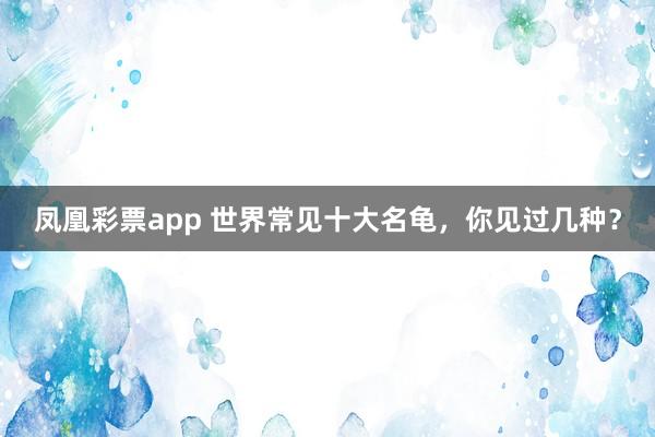 凤凰彩票app 世界常见十大名龟，你见过几种？