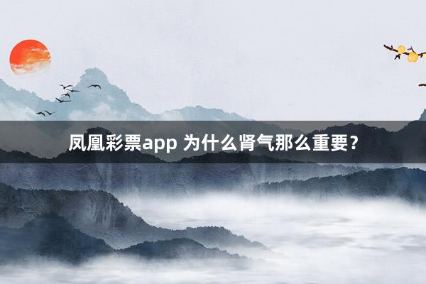 凤凰彩票app 为什么肾气那么重要？