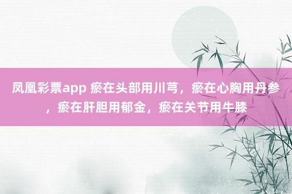 凤凰彩票app 瘀在头部用川芎,瘀在心胸用丹参,瘀在肝胆用郁金,瘀在关节用牛膝