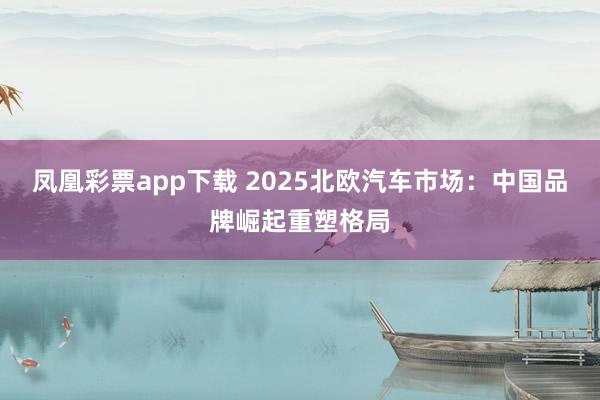 凤凰彩票app下载 2025北欧汽车市场：中国品牌崛起重塑格局