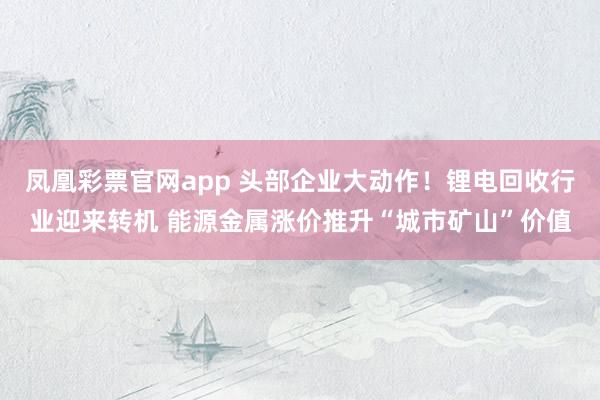 凤凰彩票官网app 头部企业大动作！锂电回收行业迎来转机 能源金属涨价推升“城市矿山”价值