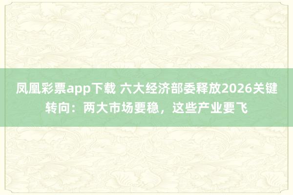 凤凰彩票app下载 六大经济部委释放2026关键转向：两大市场要稳，这些产业要飞