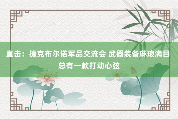 直击：捷克布尔诺军品交流会 武器装备琳琅满目 总有一款打动心弦
