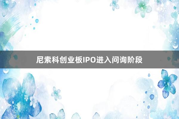 尼索科创业板IPO进入问询阶段