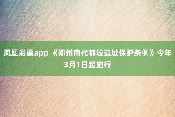 凤凰彩票app 《郑州商代都城遗址保护条例》今年3月1日起施行