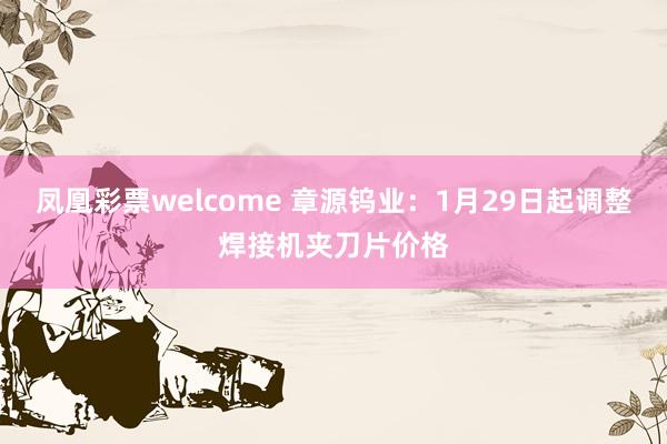 凤凰彩票welcome 章源钨业：1月29日起调整焊接机夹刀片价格