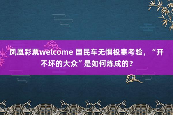 凤凰彩票welcome 国民车无惧极寒考验，“开不坏的大众”是如何炼成的？