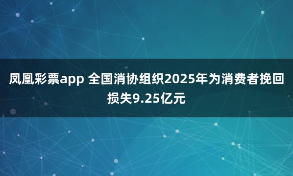凤凰彩票app 全国消协组织2025年为消费者挽回损失9.25亿元