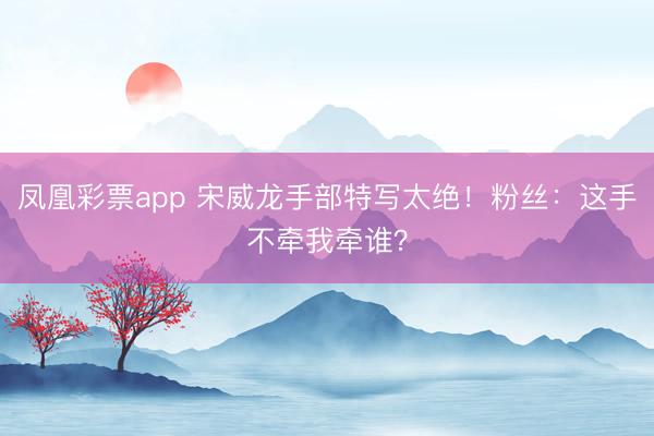 凤凰彩票app 宋威龙手部特写太绝！粉丝：这手不牵我牵谁？