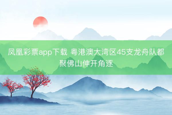 凤凰彩票app下载 粤港澳大湾区45支龙舟队都聚佛山伸开角逐