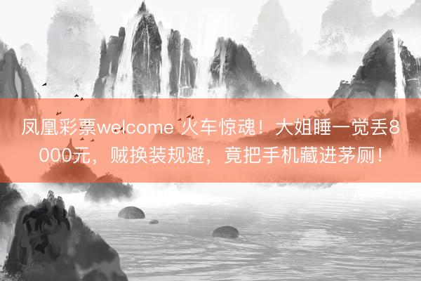 凤凰彩票welcome 火车惊魂!大姐睡一觉丢8000元,贼换装规避,竟把手机藏进茅厕!